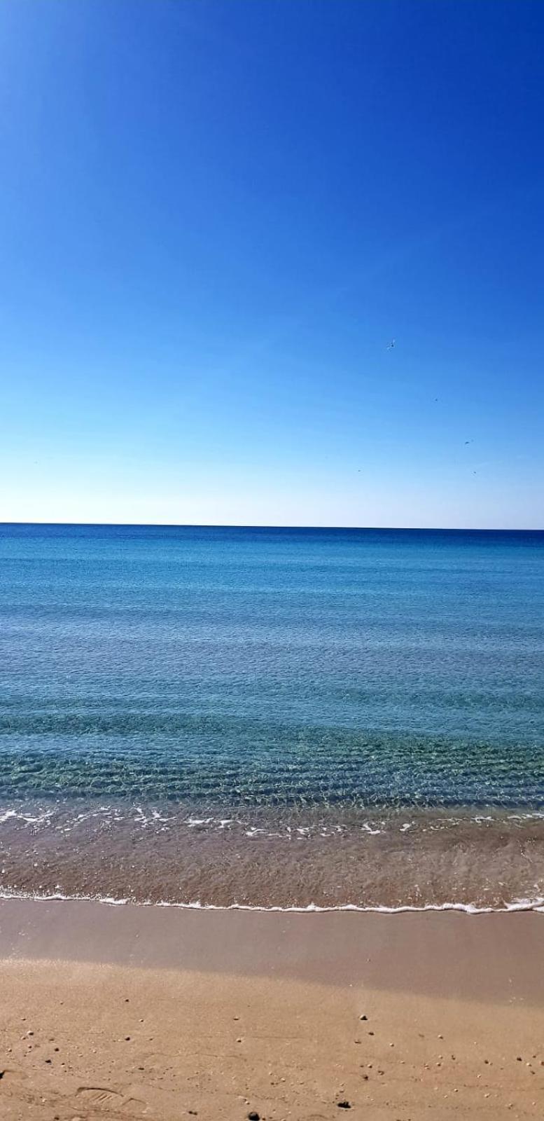 “Vistamare” Villa Torre Rinalda Kültér fotó